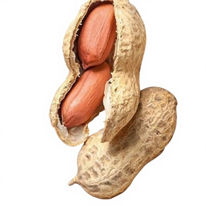 Arachides brutes de haute qualité, non-OGM, en coque, grandes, fraîches, naturelles, prêtes à consommer, disponibles en vrac - Product Image 2