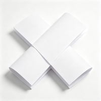 Papier de Copie Premium COPY a Brand, 80 g/m², 500 Feuilles par Ramette, en Pâte de Bois, pour Bureau, Photocopie, Impression Recto-Verso