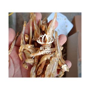 Anchoas Ahumadas de Alta Calidad, Secadas al Sol, Ideales para Aperitivos de Restaurantes Gourmet e Ingredientes Nutritivos para Comidas Saludables - Product Image 1