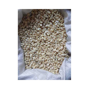 ข้าวโพดขาวบราซิลคุณภาพสูง ไม่ใช่พันธุ์ดัดแปลงพันธุกรรม (Non-GMO) รักษาพันธุ์พันธุ์ดั้งเดิม สำหรับการใช้งานในอุตสาหกรรมและการค้า - Product Image 4
