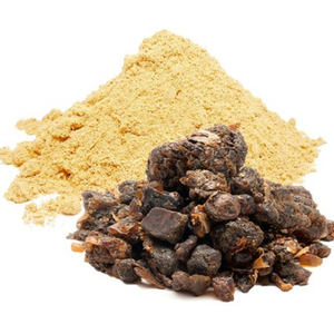 Poudre d'extrait de Guggul, ingrédient naturel pur à base de plantes, qualité export, fournisseur en gros - Product Image 4