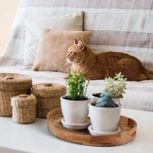 Plateau de service de luxe en bois massif extra large avec rebords pour petit-déjeuner et ottoman, vente en gros - Product Image 5