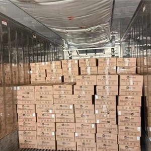 Fournisseur chinois de viande de pigeon frais congelé en gros Viande de pigeon rapide entière Meilleure vente Pigeon nourri aux grains entiers scellé sous vide - Product Image 6