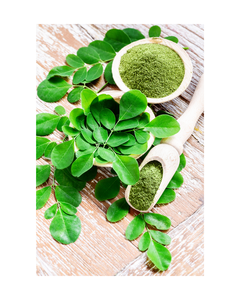 Vietnam Manufactured Organic Moringa Oleifera Leaf Powder with High Antioxidant and Nutritional Properties free non GMO oem - Product Image 3
