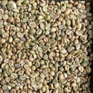 Grains de café vert Robusta biologique de qualité export, pureté 90%, faible teneur en brisure noire, matière première brute pour torréfaction, nouvelle récolte, ferme du Vietnam - Product Image 1