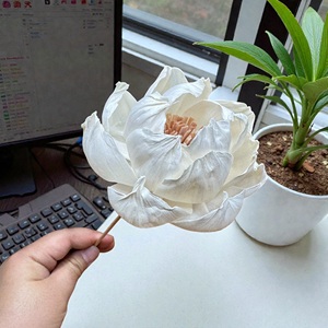 Fleurs en bois de Sola VADEE SOLA WOOD FLOWER, faites à la main, durables, pivoine clair de lune, 8,5 cm, tige en fibre de plantes de Sésbanie, de Thaïlande - Product Image 3
