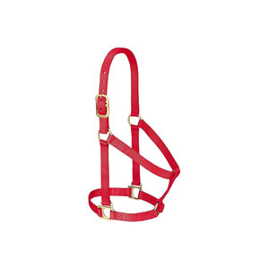 <b>Red</b> Nylon Horse Halter With Brass Hardware For Equestrian Use - Product Image 1