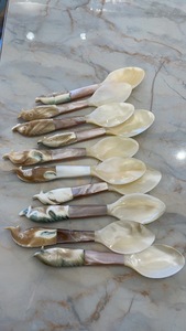 Elegant Handmade Mother of Pearl <b>Spoon</b> for Kitchen Display Dessert and Coffee <b>Serving</b> Use - Product Image 2