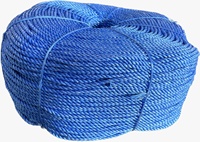 Corde de bateau torsadée 3/4 brins en polypropylène (PP) Danline haute résistance, protection UV, 8mm-28mm, noir/jaune, couleur personnalisable