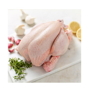 Pollo Entero Congelado Halal Premium Grado A BQF para Asar, Grillar y Hacer Caldo - Product Image 5