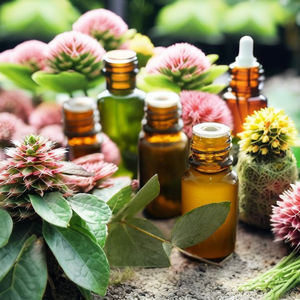 Alcaloides de ingrediente activo de extracto de hierbas de eucalipto extraído de CO2 de calidad alimentaria en lata, producto de extracto de planta de embalaje - Product Image 5