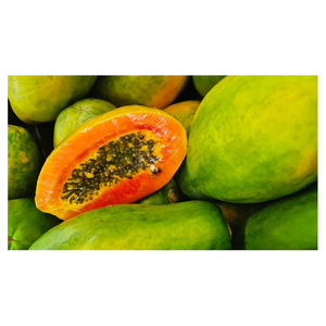 Papaya Roja Fresca, Directo de Granja, Precio Económico en Venta - Product Image 6