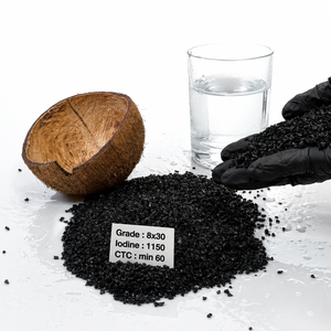 Charbon actif de coque de noix de coco 8x30 certifié NSF, pureté 99 %, valeur d'iode 1050-1150 mg/g, fabricant Vitronexa Carbon India - Product Image 1