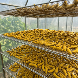 Poudre de curcuma indienne de qualité supérieure, riche en curcumine, qualité export, fournisseur pour les marques alimentaires internationales et les grossistes, durée de conservation de 24 mois - Product Image 1