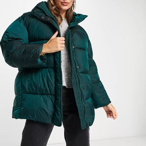 Veste matelassée pour femme, tissu confortable, vêtements d'extérieur d'hiver, imperméable, randonnée, course à pied, décontractée, col rabattu - Product Image 1