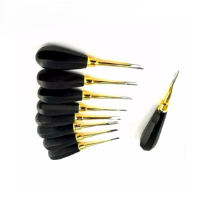 Juego Profesional de Cirugía Oftálmica de Acero Inoxidable con Bandeja de Esterilización y Pinzas de Capsulorrexis de Precisión, Instrumentos Oftalmológicos - Product Image 3