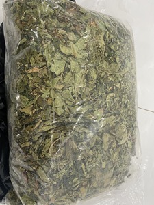 ดอกมะละกอแห้งสด 100% คัดสรรอย่างดี ชาคุณภาพพรีเมียม วัตถุดิบสมุนไพร ฟาร์มบลูลอตัส เมืองโฮจิมินห์ - Product Image 5