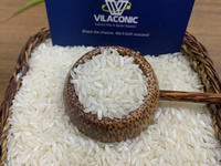 Riz Blanc Biologique Long Grain Pas Cher Prix par Tonne 5% Brisures Séchées 5kg 100% Pur Sans Gluten Vente en Gros en Vrac Texture Ferme