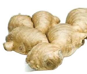 JENGIBRE FRESCO CON PRECIO COMPETITIVO - Product Image 4