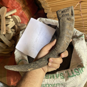 Punta de Cuerno de Búfalo Natural Ecológica, Color Negro Rústico, para Navidad y Año Nuevo Chino - Product Image 1