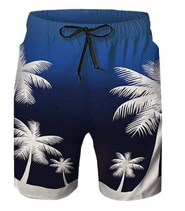 Shorts de Playa para Hombre, Secado Rápido, Cómodos, para Uso en Exteriores, Casuales, Ligeros, Corte Holgado, Venta al Por Mayor, OEM, ODM - Product Image 1