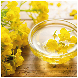 Huile de colza certifiée biologique 100 % pure, huile de colza raffinée / huile de canola / huile de colza brute dégommée - Product Image 3