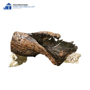 Decoración de Acuario de Madera Flotante Natural Irregular, Ideal para Peces, Camarones y Caracoles, Adorno Duradero Hecho en Vietnam - Product Image 2