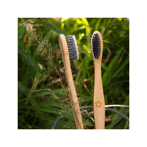 Brosse à dents en bambou VietChoice 100% biodégradable, écologique, à poils souples, manche naturel, vente en gros, OEM, ODM, soins bucco-dentaires - Product Image 1