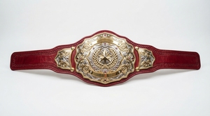 Cinturón de Campeón Personalizado, Cinturón de Premio Deportivo con Logotipo Grabado, Cinturón de Campeonato de Metal Personalizado con Nombre - Product Image 4