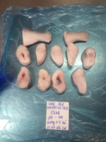 VHFood Steak de Pangasius Congelé Faible en Glucides du Vietnam, IQF en Gros, Partie Entière 2-5cm, Fruits de Mer Congelés de Haute Qualité