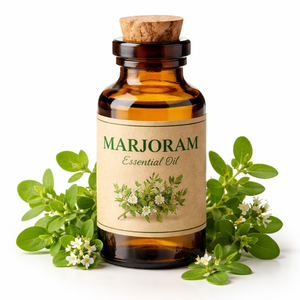 OEM ODM Wholesale Organic Marjoram Essential Oil Pure <b>Natural</b> Oil for Aromatherapy, Massage, Spa, and Skin Care Bulk Supply - Product Image 2