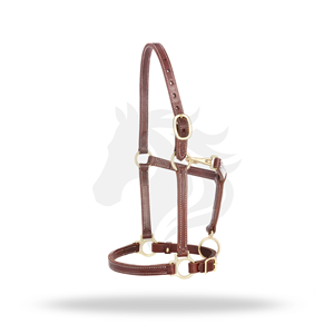 Premium Leather Horse <b>Halter</b> Adjustable Brass Hardware Durable Equestrian Headcollar - Product Image 1