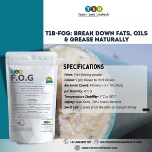 Digestión FOG bioactiva para la industria alimentaria Aguas residuales Producto de desecho agrícola - Product Image 4