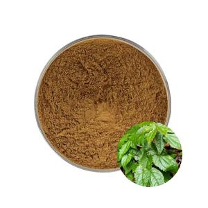OEM ODM Polvo de Hierba de Cabra Hornuda Auténtico y de Alta Calidad, 100% Natural, Grado Alimenticio, Polvo de Epimedium para Apoyo a la Salud de Articulaciones y Huesos - Product Image 5