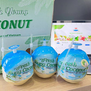 Coco Fresco Joven de Primera Calidad, con Cáscara Entera, Forma de Diamante, Piel Verde, 70-90 Días de Vida Útil, Almacenamiento en Frío, Ben Tre - Product Image 1