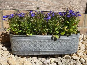 Maceta Elíptica de Acero Galvanizado de Alta Resistencia para Interiores y Exteriores con Capacidad Personalizable para Jardín y Hogar - Product Image 2