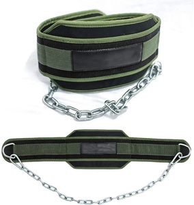 Cinturón de Soporte Lumbar con Cadena de Acero para Levantamiento de Pesas, Ajustable, Unisex, Equipo de Entrenamiento de Fuerza, Verde y Negro - Product Image 1