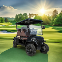 Voiturette de golf électrique de tourisme pour sites touristiques, 48V, avec batteries au lithium haute performance en acier