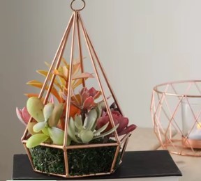 Geometric Heart <b>Glass</b> <b>Terrarium</b> with Copper Frame for Indoor Succulent Plant Display Modern Minimalist Desktop Decor - Product Image 5