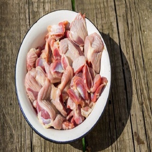 Gésiers et parties de poulet halal surgelés de haute qualité, procédé de congélation IQF, qualité A, emballage en vrac - Product Image 1