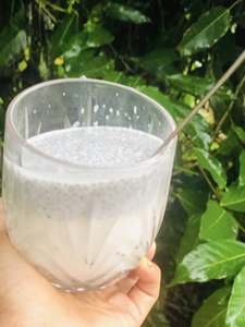 Leche de Coco en Polvo Estándar 35% Grasa, Polvo de Coco Secado por Aspersión de Vietnam, Fabricante a Granel, Calidad de Exportación - Product Image 2
