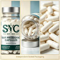 Capsules Probiotiques OEM Résistantes aux Acides, Absorption Douce, Soin Intestinal, 90 Gélules, Formule Multi-Souches, Vente en Gros, Personnalisées pour Adultes, HACCP