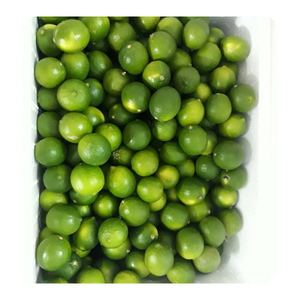 Entrega Rápida, Mejor Calidad, Lima Verde Fresca Sin Semillas de Vietnam |   Alta Calidad |   Precio Competitivo en el Mercado |   Frutas Cítricas Comunes - Product Image 1