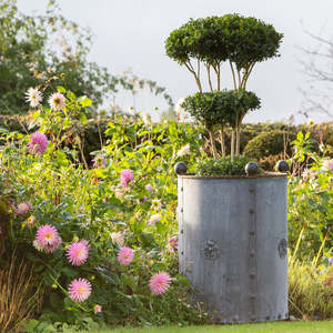 Galvanized Metal Planter With Topiary Design Outdoor Garden Container Rustic Finish Decorative <b>Plant</b> Pot - Product Image 1