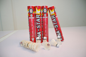 Volant de badminton professionnel en plumes d'oie et graphite, haute durabilité pour les tournois, l'école, le club et l'entraînement - Product Image 4