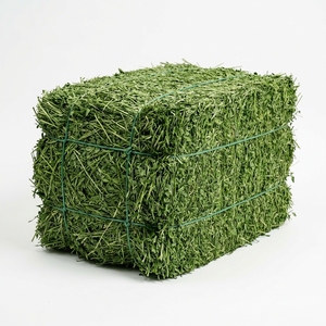 Heno de Alfalfa de Grado Alimenticio, Alto en Fibra, Alimento para Ganado, Caballos y Vacas Lecheras, Aplicaciones Agrícolas - Product Image 6