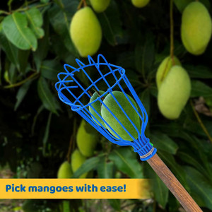 Cesta Recolectora de Frutas de Metal Resistente con Cojín de Espuma |   Herramienta de recolección de frutas para mango, manzana, naranja y guayaba, para montar en poste - Product Image 1