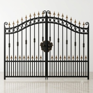 Puerta Batiente Doble Exterior Resistente, Hecha a Mano, con Recubrimiento en Polvo, Hierro Europeo, Control Manual, Fácil Instalación - Product Image 1