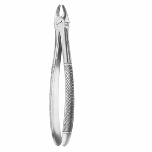 Forceps d'extraction Fig. 103 canines supérieures (modèle anglais) en acier inoxydable de qualité supérieure - Product Image 2