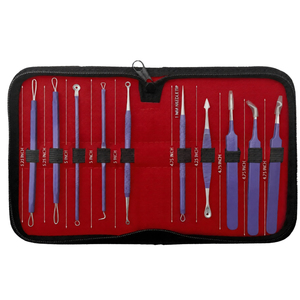 Kit de Herramientas para Eliminar Puntos Negros, 10 Piezas, Profesional, de Alta Calidad, Precisión, Antiestático, Punta Suave - Product Image 5